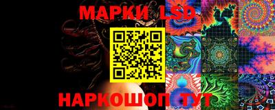 индика Кулебаки