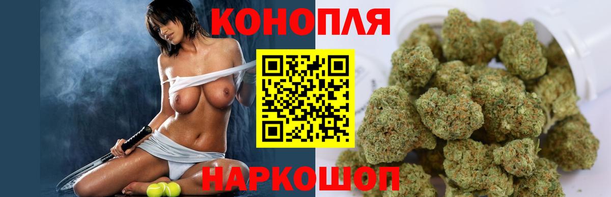 Шишки марихуана конопля Каменка